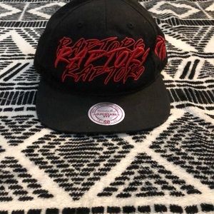 Raptors Mitchell and Ness hat